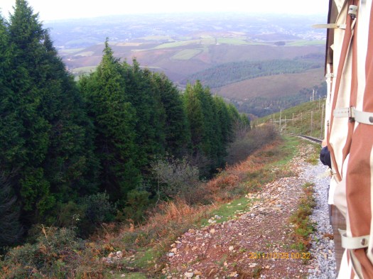 Ptdc0055