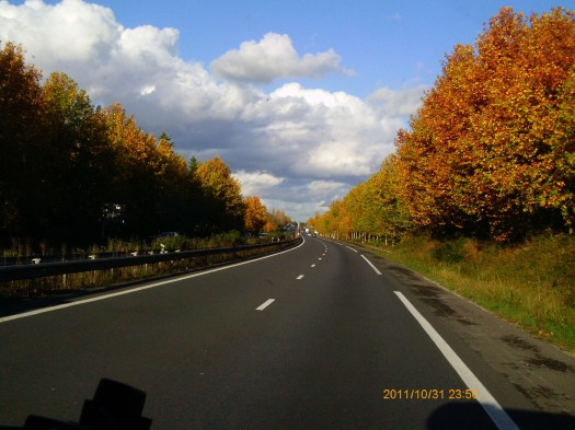 N10 in Autumn