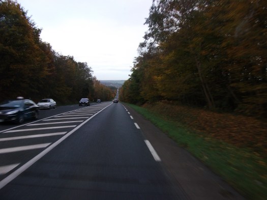 Roads and trees 2