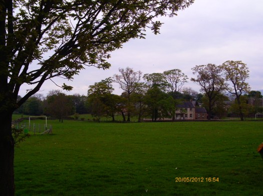 Ptdc0170