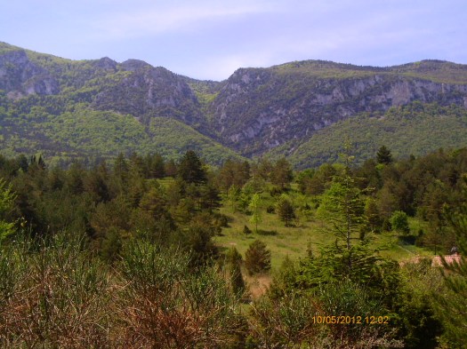 Ptdc0093