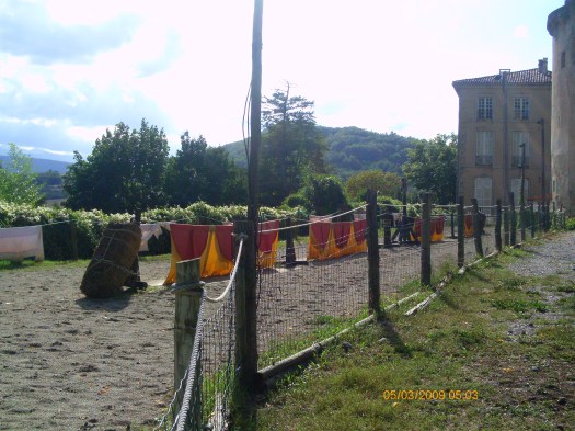 Ptdc0478