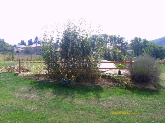 Ptdc0623