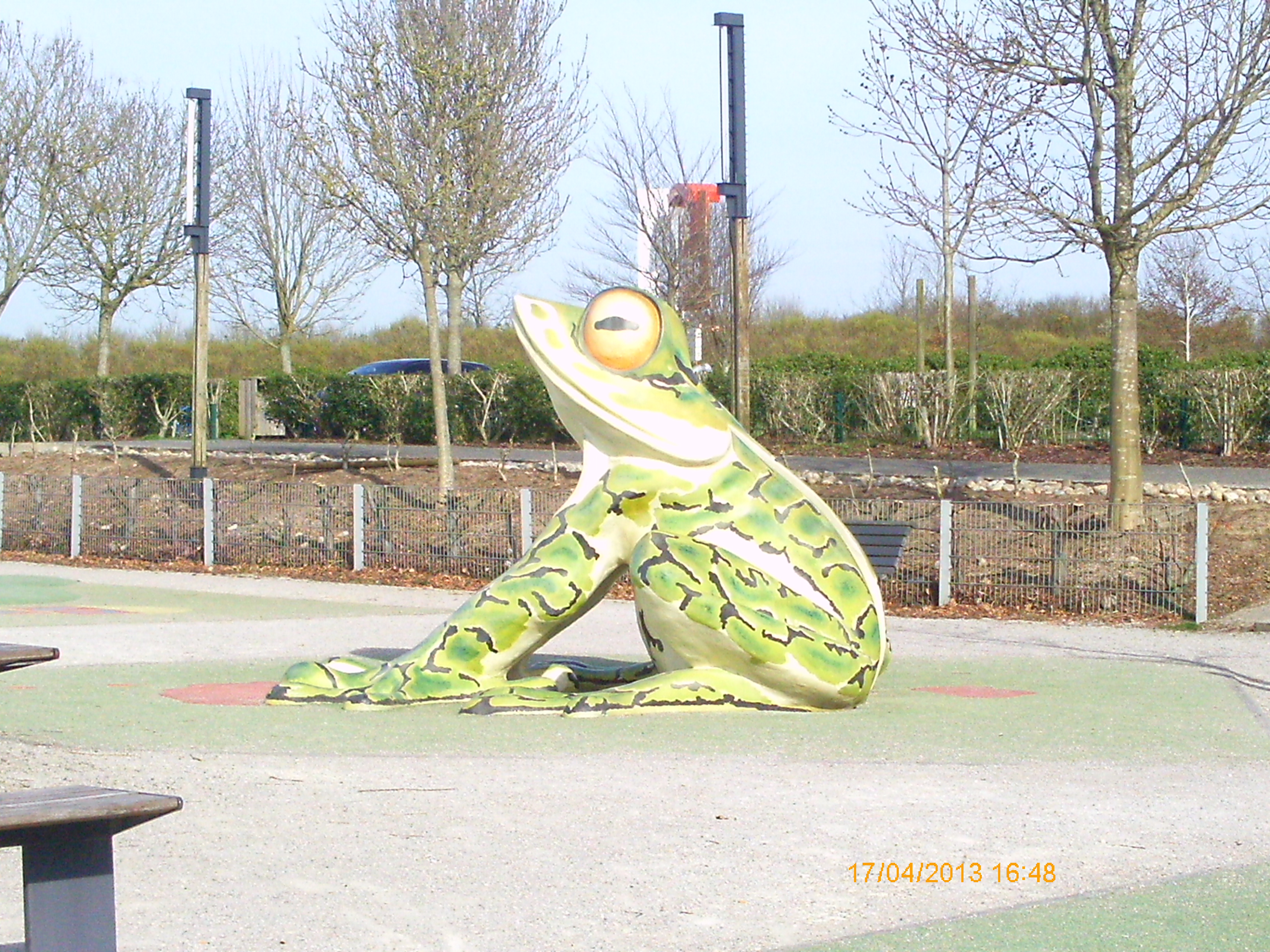 Back in the Land of the Frog!!