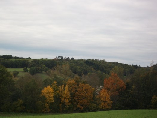 DSCF1784