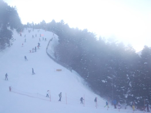 DSCF1906
