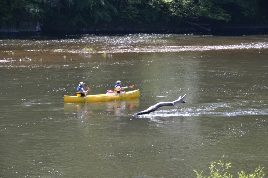 Canoe trip (1)