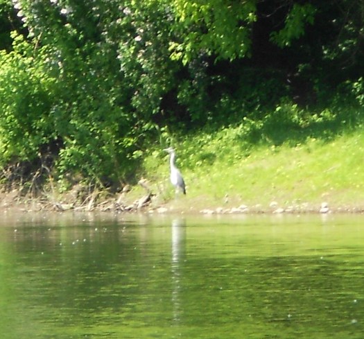 canoe trip (39)