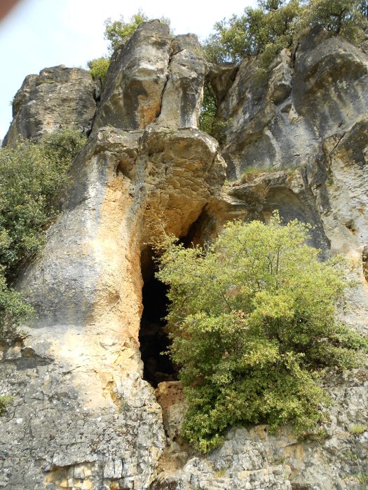 Montfort (11)
