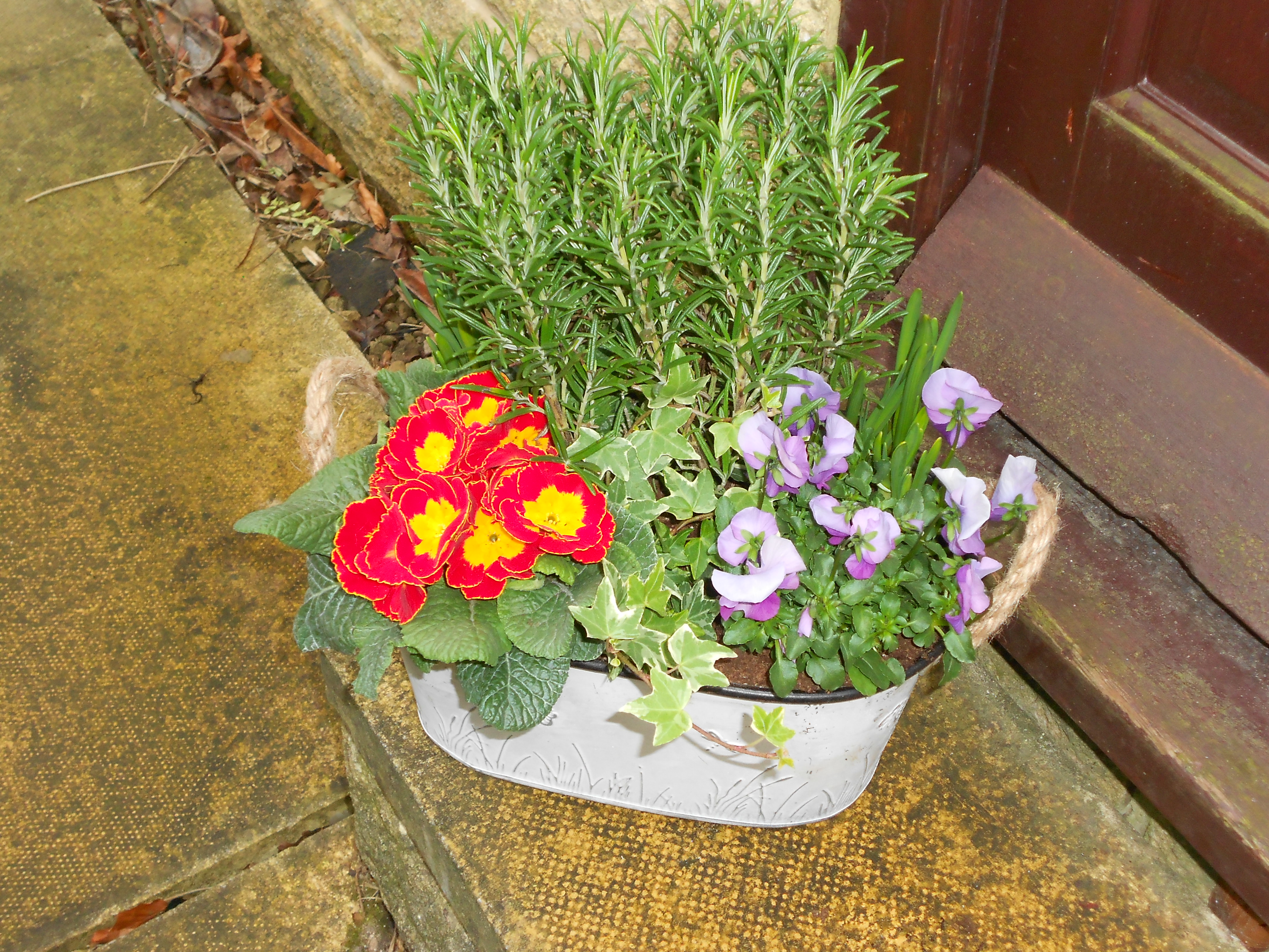 DSCN3358.JPG