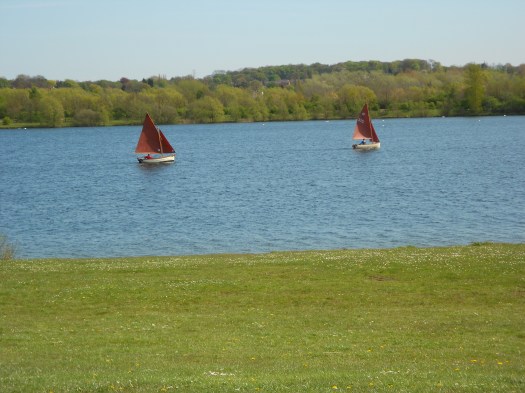 DSCN3373.JPG