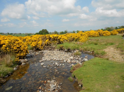DSCN3452.JPG