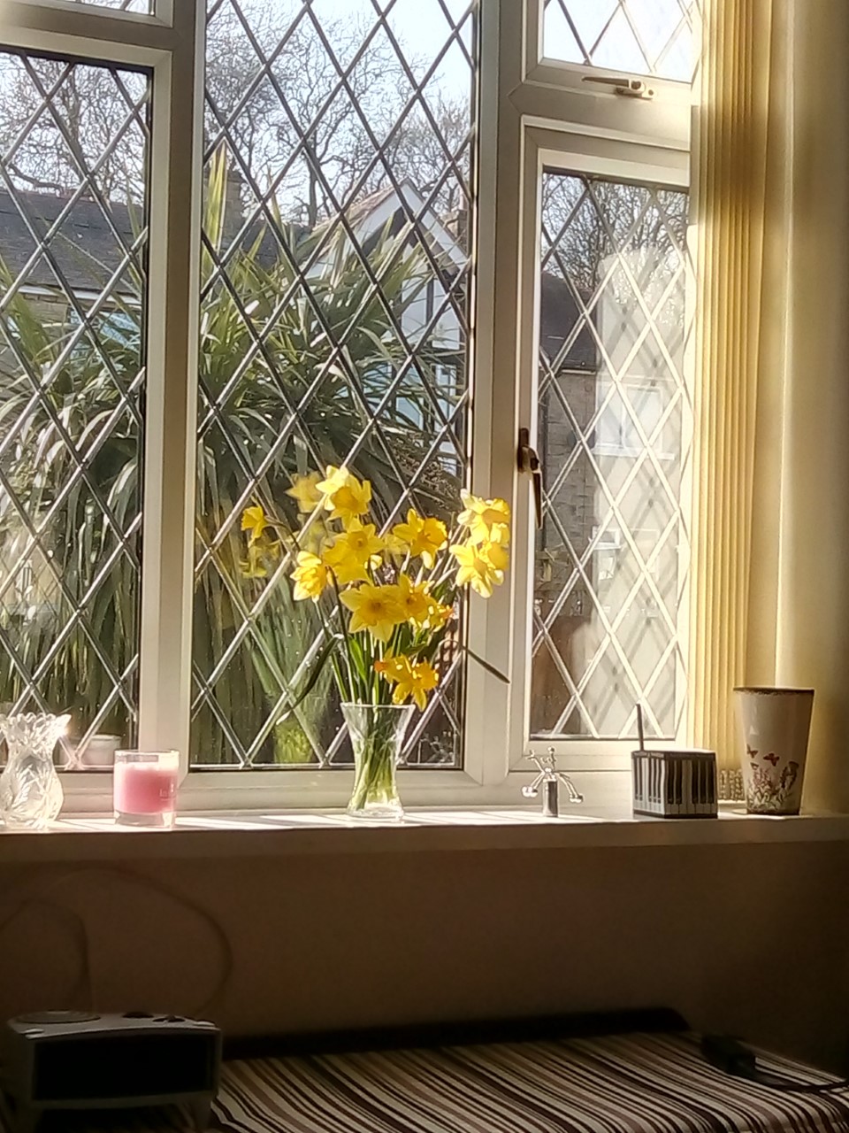 daffs
