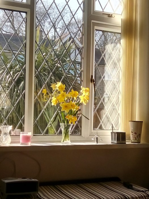 daffs