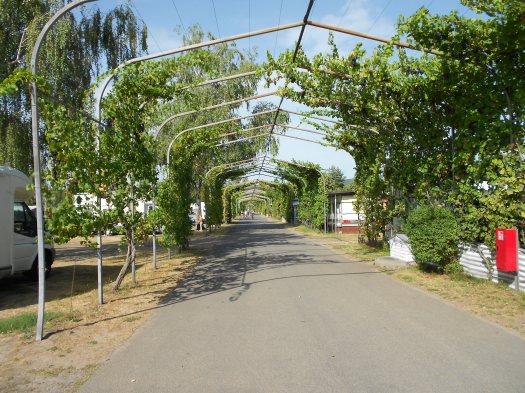 DSCN4162