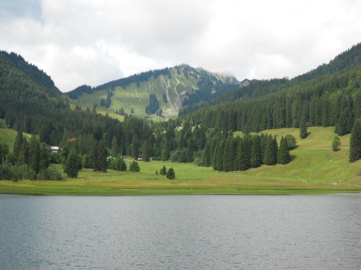 DSCN4197